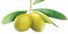 GREEN OLIVE