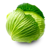 organic cabbage